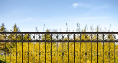 Wrought Iron Fencing