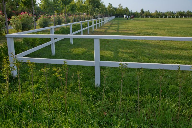 Horse Fence Replacement in Pearland, TX