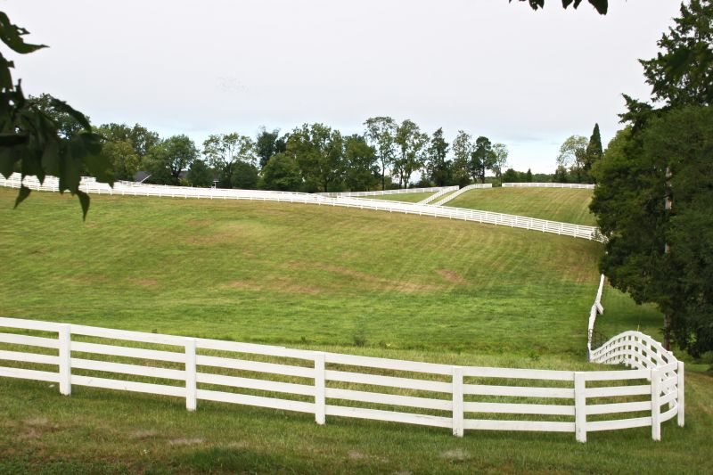 Horse Paddock Installation in Roseville, CA